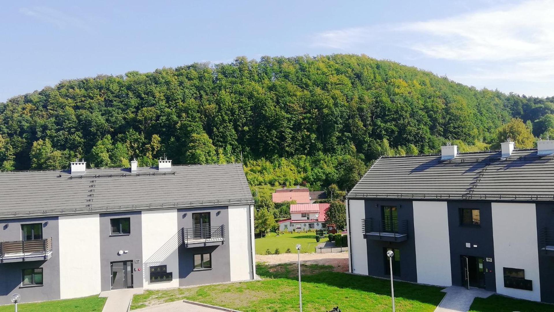 Apartment Roku 2025 !! Spa & Relax Jelen & Natura Kudowa Zdroj Exterior photo